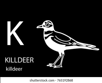 k for killdeer 