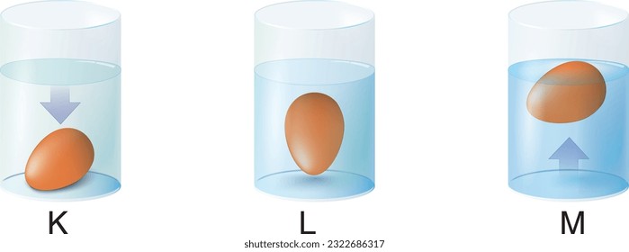 K, L, M Ei-Container-Experiment (Chemiestunde)