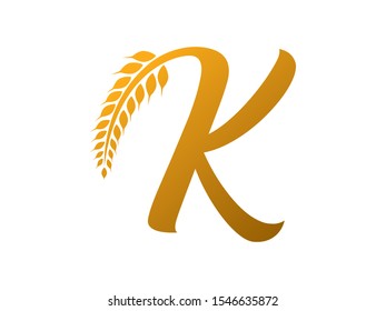 K Letter logo or symbol template design