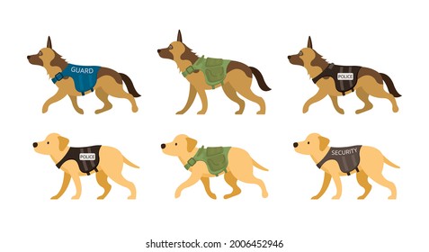 K9, Police, Military, Guard, Security Dogs Wearing Uniform, Standing and Walking, Side View