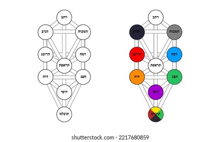 Kabbalah, Sephiroth, tree of life vector isolated on white background