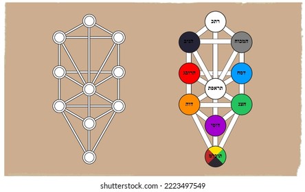 Kabbalah, Sephiroth, tree of life vector isolated on white background