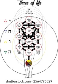 Kabbalah Tree of Life with Hebrew names for the Sefirot, corresponding to the human body and the Tetragrammaton. Jewish mysticism showing the paths of wisdom .