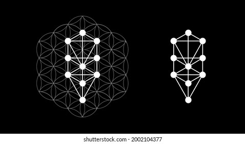 Kabbalah vector symbol isolated. Sacred geometry and tree of sefirot illustration