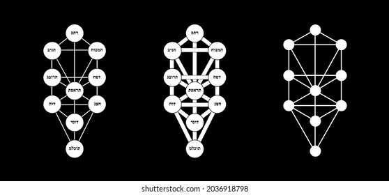 Kabbalah vector symbol isolated. Sacred geometry and tree of sefirot illustration