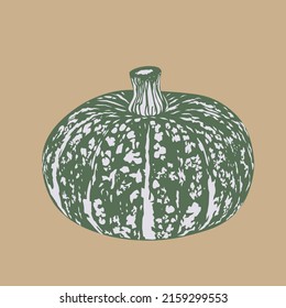 Kabocha Pumpkin.  asian japanese squash. Whole and slice. Cooking ingredient, fresh vegetable. Healthy vegetarian food. Flat vector illustration.