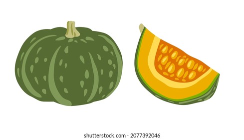 Kabocha Pumpkin. Dark green gourd, asian japanese squash. Whole and slice. Cooking ingredient, fresh vegetable. Healthy vegetarian food. Flat vector illustration. 