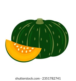 Kabocha squash whole vegetable and slice isolated on white background. Cucurbita maxima. Japanese pumpkin icon. Vector illustration of vegetables in flat style.