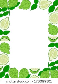 Kaffir Kalkrahmen. Handgezeichnete Textur. Stock-Vektorgrafik.
