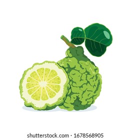 Kaffir lime and half isolated on white background.