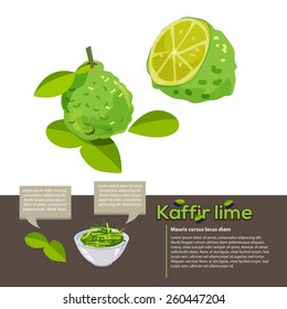 Kaffir Lime Information Graphic. Lime Leaf And Chopped - Vector Illustration