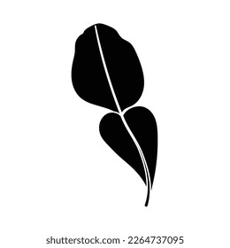 Kaffir lime leaves simple silhouette icon. Asian spices, seasonings