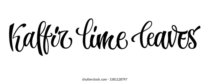 Kaffir lime leaves - vector hand drawn calligraphy style lettering word. Isolated script spice text label. Labels, shop design, cafe decore etc