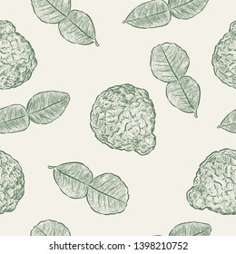 Kaffir Lime, seamless pattern vector.  Hand draw sketch vector.