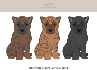 Kai Ken puppy clipart. Different poses, coat colors set.  Vector illustration