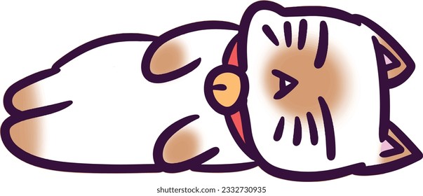 "Kajee wichianmas Cat"  She cute 