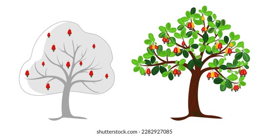 Kaju tree (Cashew tree) sinhala new year design, vector illustration