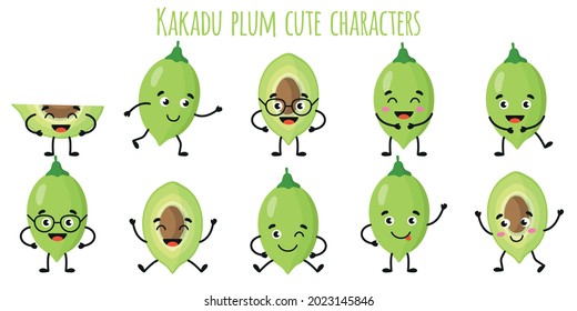 Kakadu plum fruit cute funny cheerful characters with different poses and emotions. Natural vitamin antioxidant detox food collection. Vector cartoon isolated illustration. Children concept.