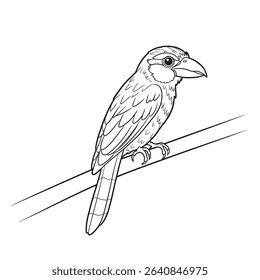Kakao-Strigops habroptilus. Line drawing of perched bird featuring detailed wings and sharp beak. Ornithology illustration concept

