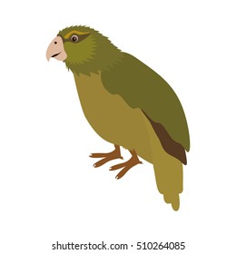 Kakapo Bird Icon