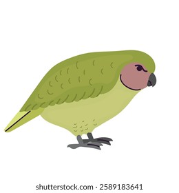 Kakapo icon clipart avatar logotype isolated illustration