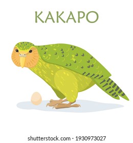 Kakapo parrot (owl parrot) with the egg (vector graphics)