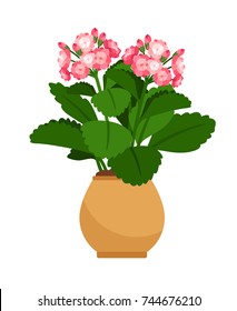 Kalanchoe house plant in flower pot, vector icon on white background