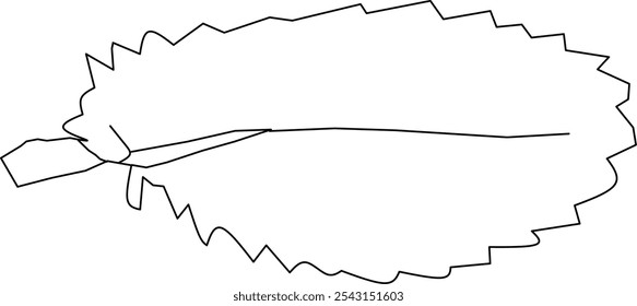 Vector de hoja de pinnata Kalanchoe en estilo doodle. ilustración de diseño de vestido de pinnata Kalanchoe dibujado a mano