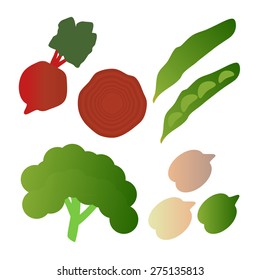 Kale, broad beans, beets, chickpeas  isolated on white background. Editable and design suitable vector illustration. Healthy vegetables.