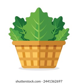 Kale in busket Green Leafy Vegetables vector illustration