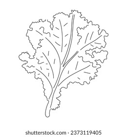 Kale doodle icon. Hand drawn black sketch. Vector editable stroke.