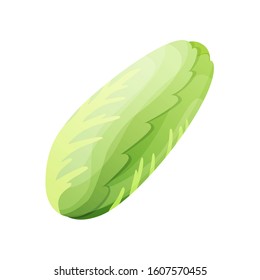 Kale fresh vegetable vector concept. Healthy diet flat style illustration. Isolated green food, can be used in restaurant menu, cooking books and organic farm label