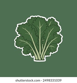 Ilustración vectorial vegetal verde de col rizada. Icono de hoja de col rizada sobre fondo sólido.