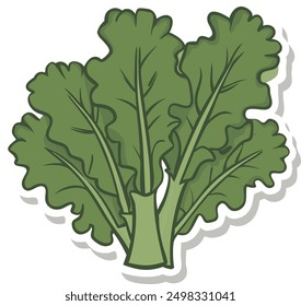 Kale green vegetable Vector illustration. Kale Leaf Icon On Solid Background.