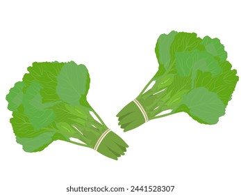 Kale in hand on white background.
