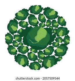 Kale heads in circle. Fresh vegetables in the circle. Vector flat design template. Icon of food, farm, gardening or  horticulture.