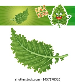 Kale icon isolated on white background. Green food vector illustration with cute cartoon salad character