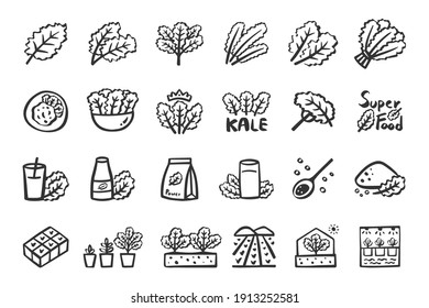 Kale icon set superfood vegetable hand drawn icons