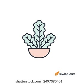 Kale icon vector illustration. Kale symbol isolated on white background