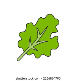 kale leaf icon in color, isolated on white background 