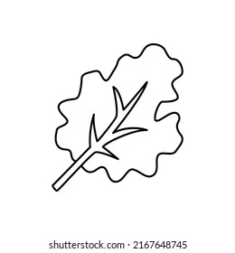 kale leaf icon in line style icon, isolated on white background