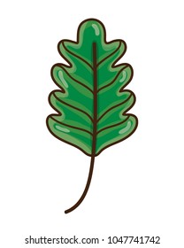 kale leaf tropical nature plant