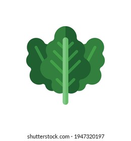 Kale Leaves Flat Icon Logo Illustration Vector Isolated. Chinese Food and Restaurant Icon-Set. Suitable for Web Design, Logo, App, and Upscale Your Business.