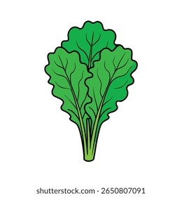 Kale leaves fresh with visible veins detailed healthy texture Vector illustration