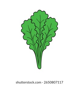 Kale leaves vibrant green textured fresh leafy vegetable Vector illustration
