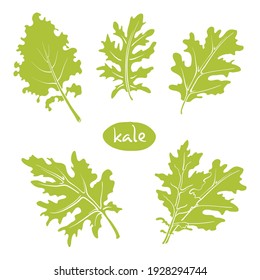 Kale salad leaves. Colorful line sketch collection of vegetables and herbs isolated on white background. Doodle hand drawn vegetable icons. Vector illustration