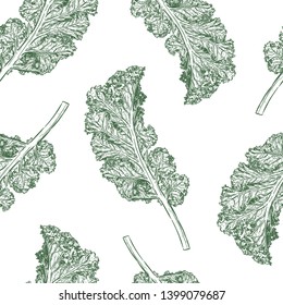 Kale seamless pattern vector. Hand draw sketch vector.