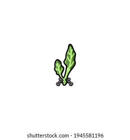 Kale Sport Cartoon Character Vector Illustration Design. Outline, Cute, Funny Style. Recomended For Children Book, Cover Book, And Other.