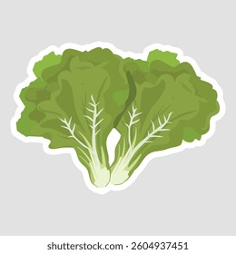 Kale Vector Illustration Sticker. Vector illustration of fresh green kale sticker. Perfect for healthy food, organic farming, diet, and plant-based lifestyle designs