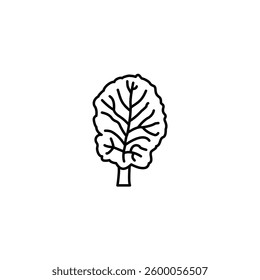 kale vector line icon icons design